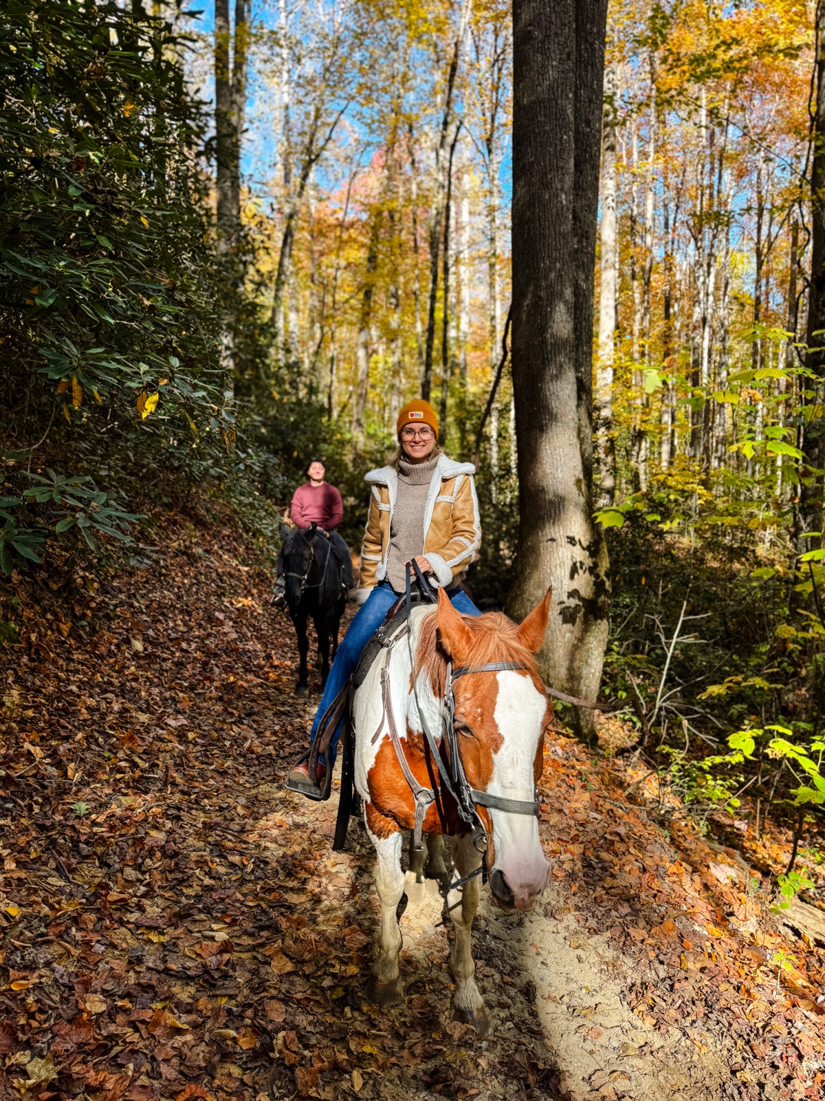 Horseback riding on a fall trail near Bryson City
